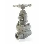 Class 800 Forged Steel Globe Valve