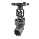 Class 800 Socket Weld Forged Steel Gate Valve